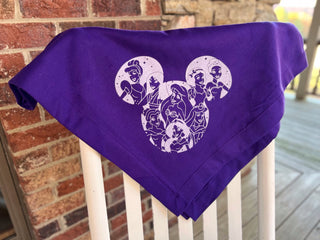 Disney Princess Blanket