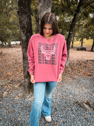 Vintage Bulls Crewneck