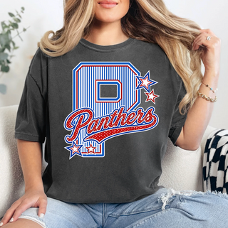 Panthers Stripe Tee