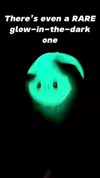 Ultra-Rare Mystery Dumpling Squishy Toy